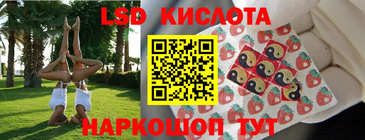 A-PVP Унеча