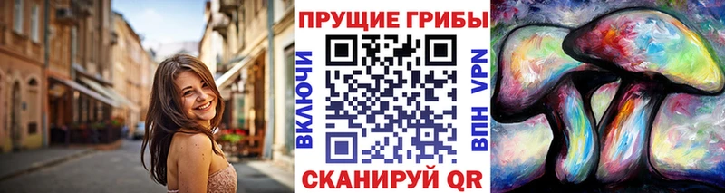 как найти Унеча Галлюциногенные грибы Cubensis