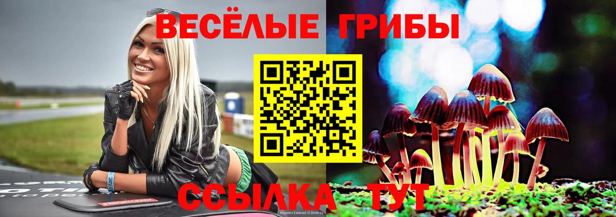 Псилоцибиновые грибы прущие грибы Унеча