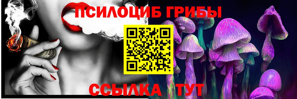 Галлюциногенные грибы GOLDEN TEACHER  магазин продажи   Унеча  Вход с VPN 