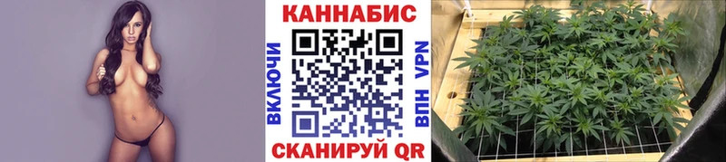 хочу   это как зайти  Каннабис AK-47  Унеча  kraken как зайти 